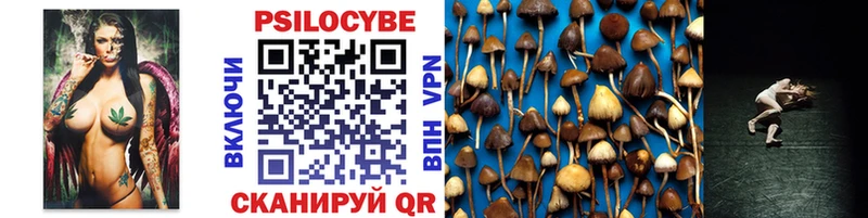 darknet клад  Цимлянск  Псилоцибиновые грибы MAGIC MUSHROOMS  как найти   hydra ссылка 